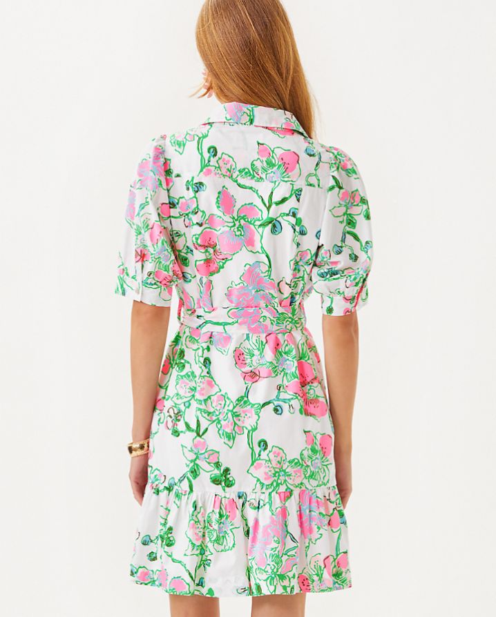 SASHRIA DRESS