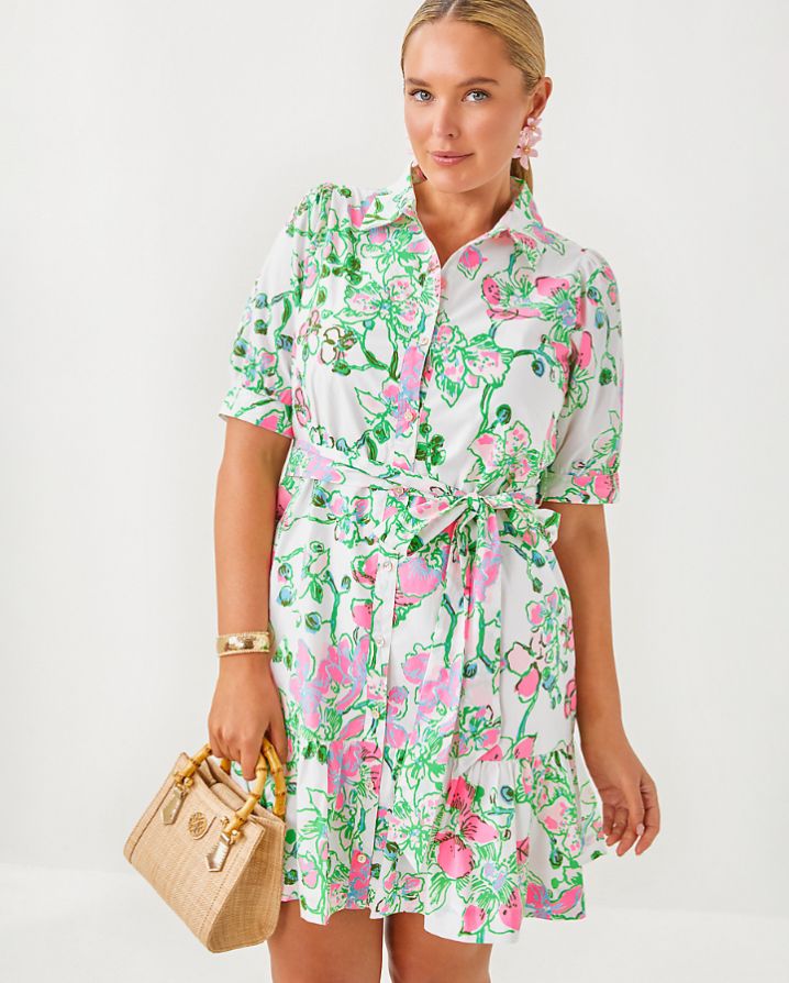 SASHRIA DRESS