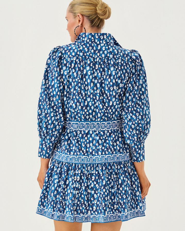 DRENA DRESS