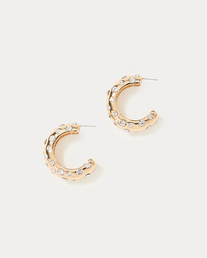 ALL DAHLED UP HOOP EARRINGS
