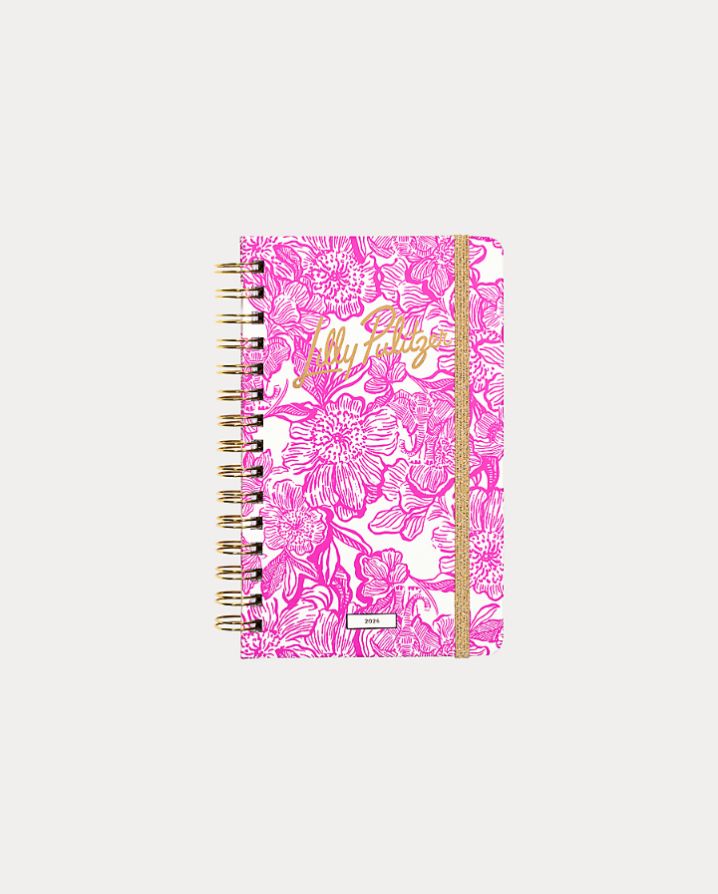 MEDIUM 12 MONTH AGENDA