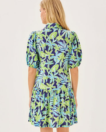 BINGLEY DRESS