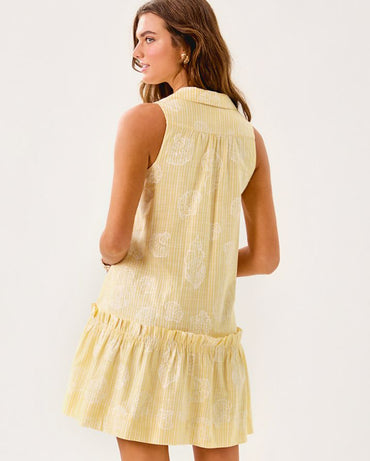 CAYLINN SLEEVELESS POPOVER SHIRTDRESS